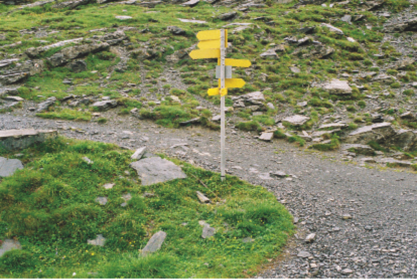Street sign along a road