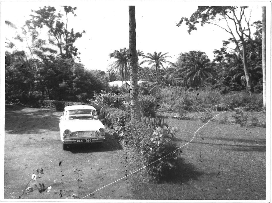 Car in a driveway