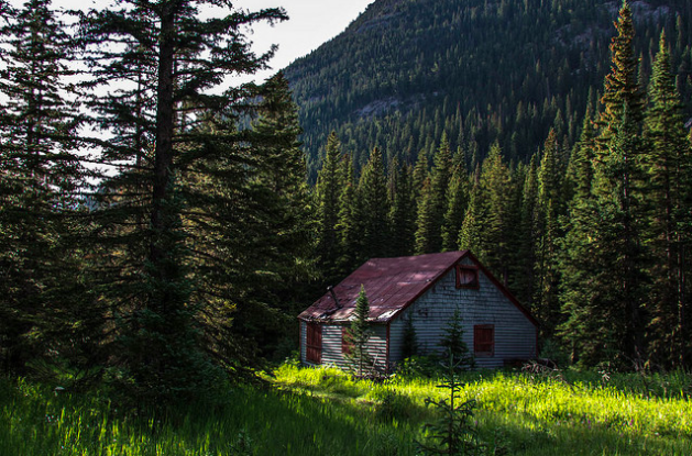 The Cabin