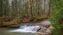 New Hampshire Spring