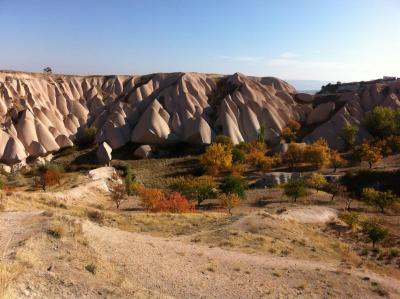 Cappadocia Hillside with fall trees