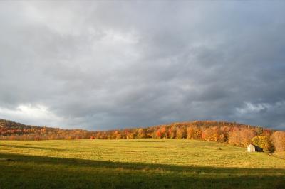 Countryside