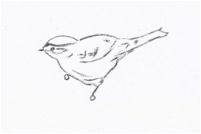 Sketch