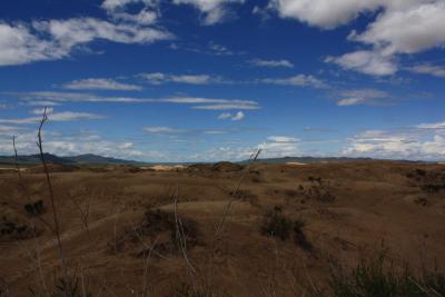 steppe