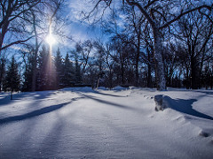 Snow as Versions of Different Things (Fargo)