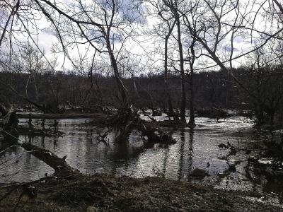 Potomac River