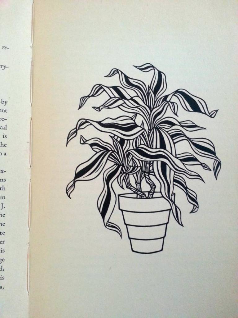 Plant drawing