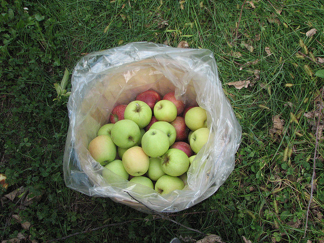 Eating Apples