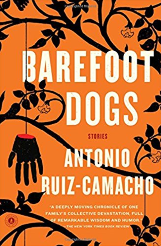 Barefoot Dogs