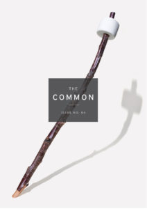 The Common Issue 4