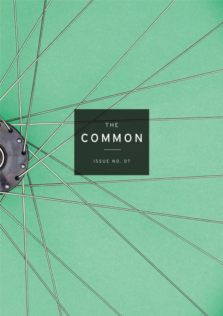 Issues | The Common