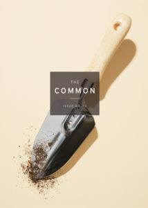 The Common Issue 13