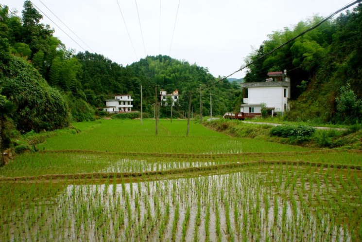 Old Home, Mother’s Home