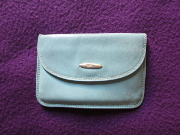 The Little Blue Purse