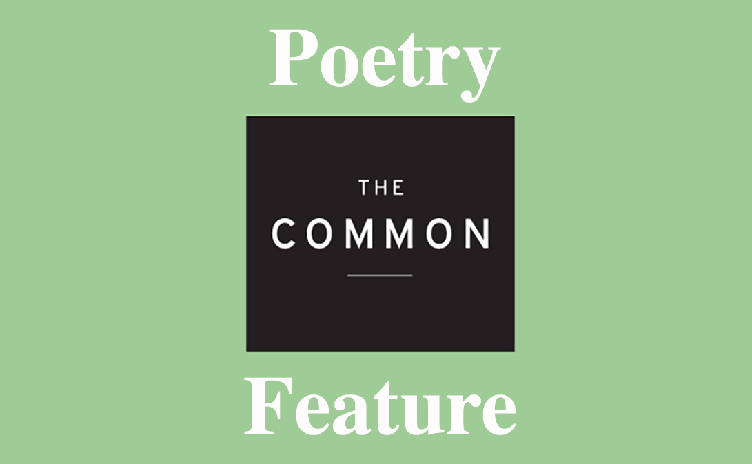 August 2016 Poetry Feature