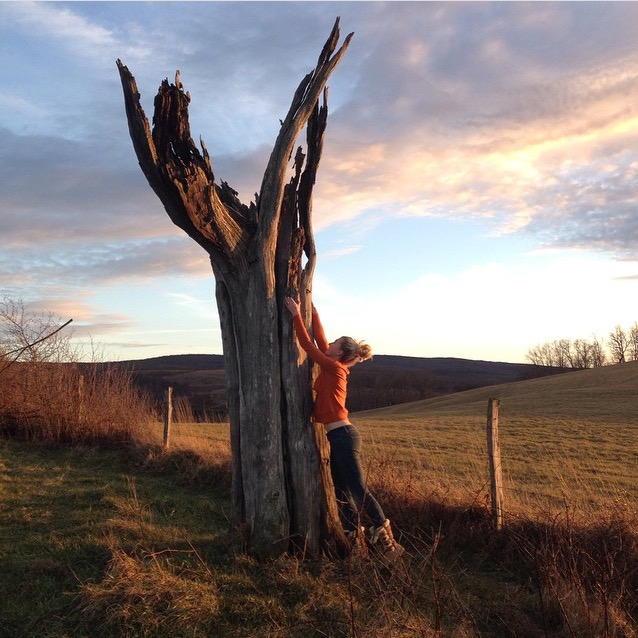 lightning tree