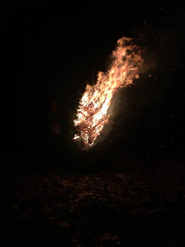 christmas tree burning