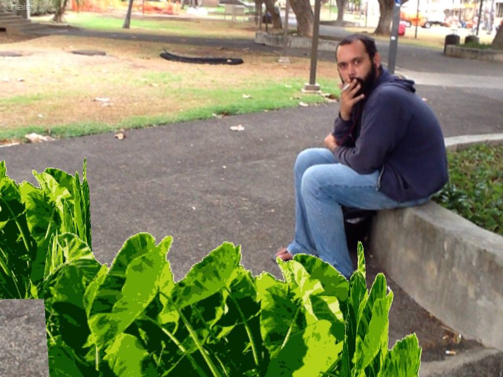 A man smoking and leaves