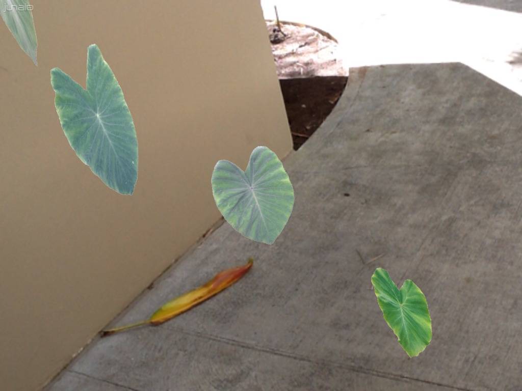 Leaves by foundation of building.