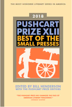 The Common’s Nominations for the Pushcart Prize