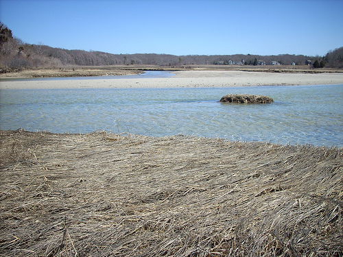 Ten Thousand Walks by the Little Pamet River