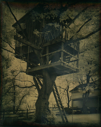 Tree House