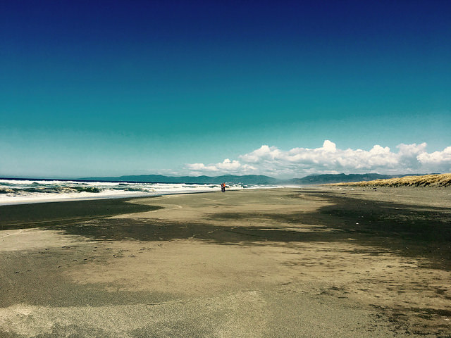 Sand dunes at Tolowa Dunes State Park