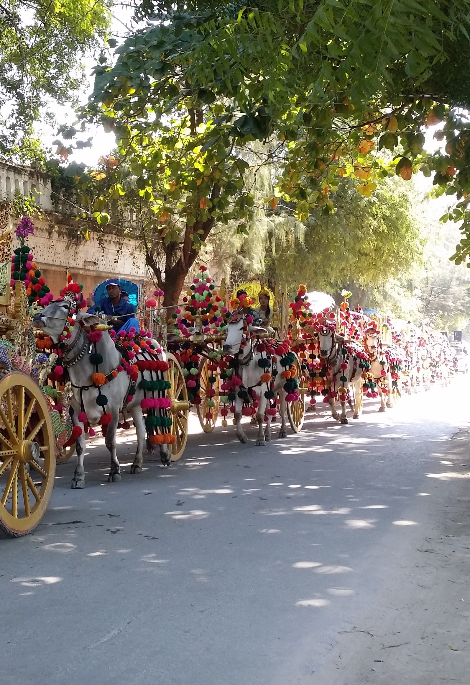 Ask a Local: Ko Ko Thett, Sagaing, Myanmar