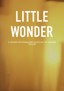 Little Wonder cover