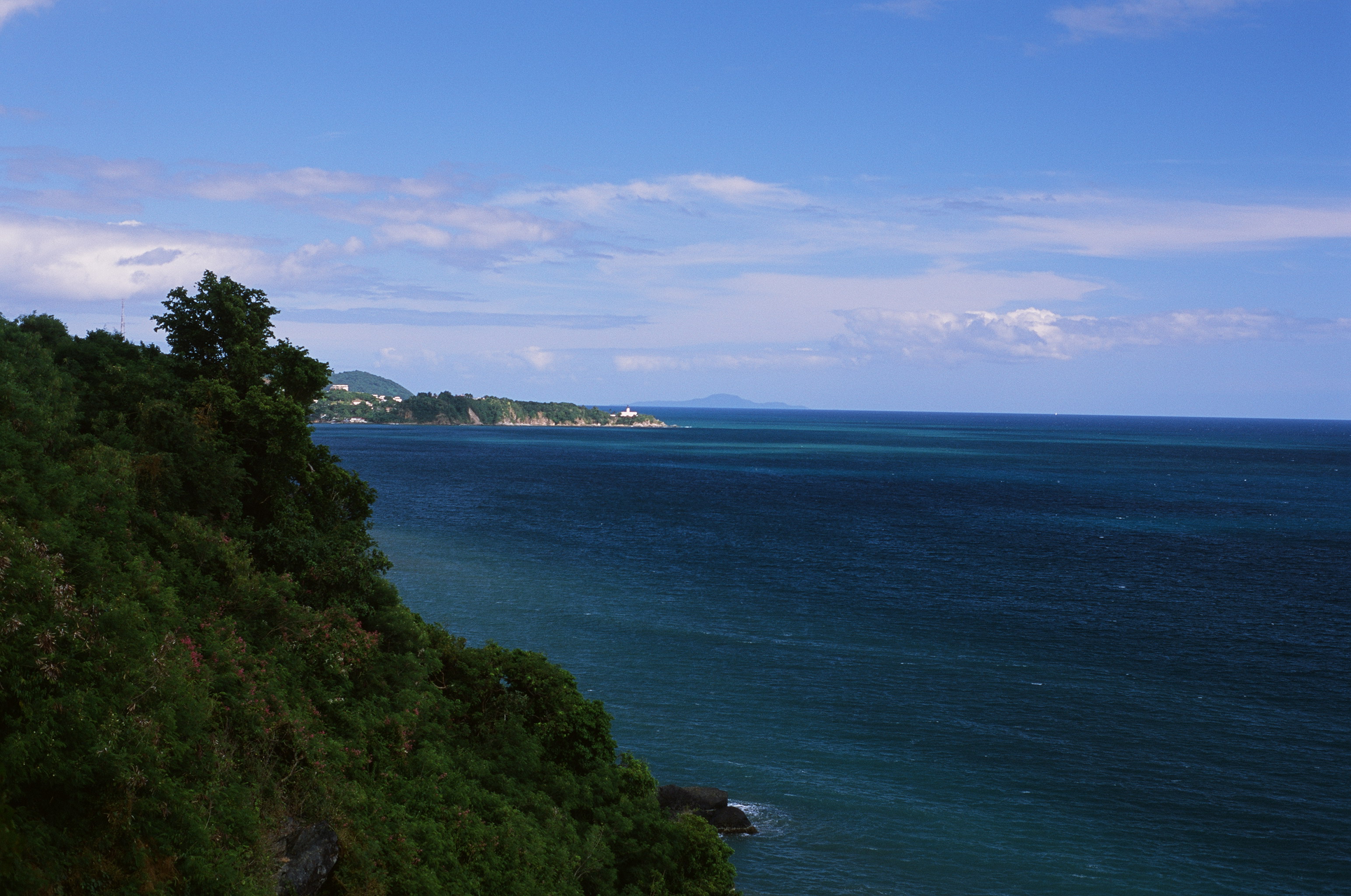 Native Shore / Orilla Natal