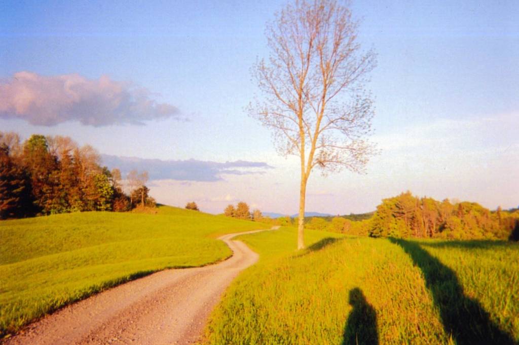 road through meadow at sunset