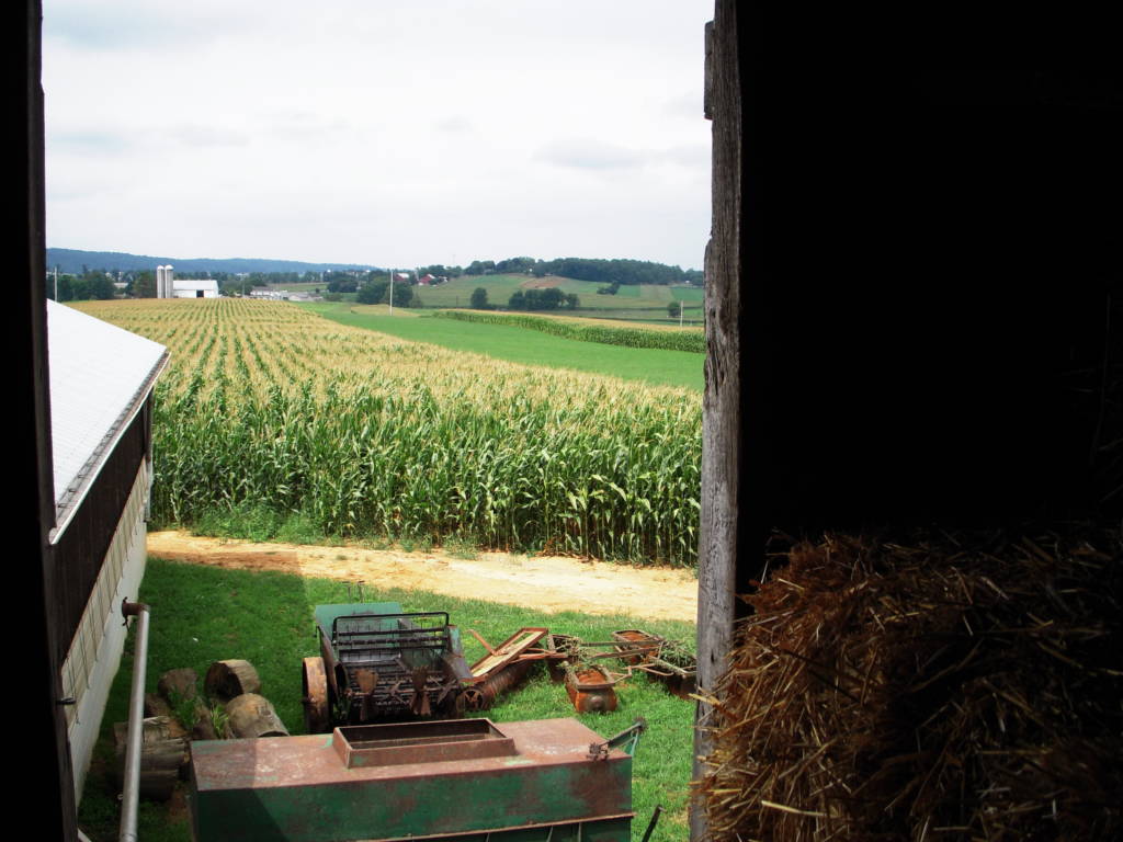 cornfield and tractor