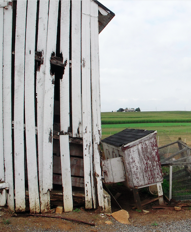 Elegy to the Farm Where I Grew Up