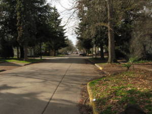 image of street and trees