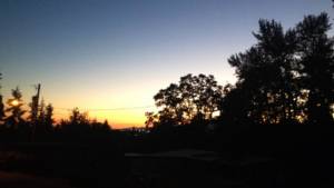 image of morning sky and trees