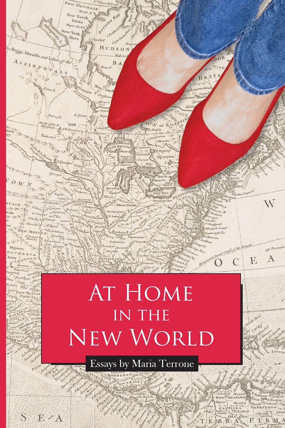 Cover of At Home in the New World