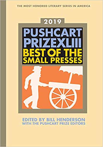 The Common’s 2019 Pushcart Prize Nominations