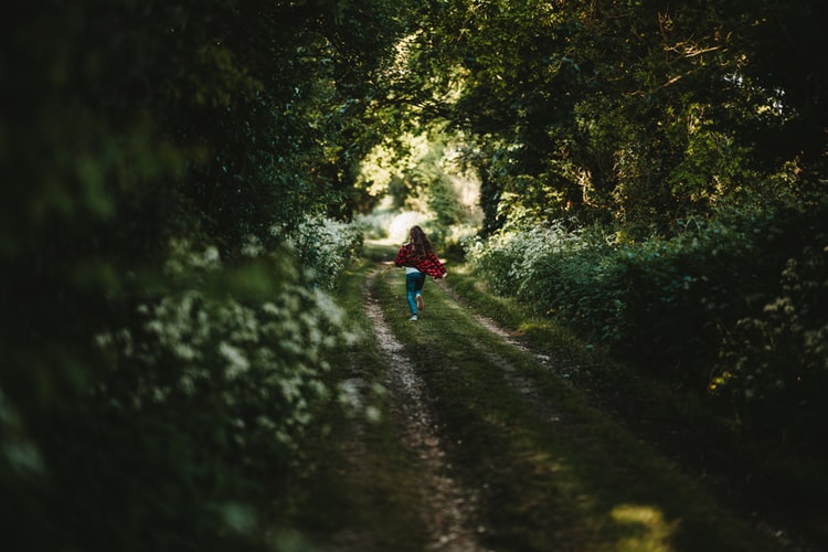 Ticks in the Hedgerows