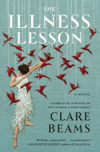 Image of book cover of The Illness Lesson.