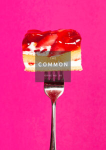 The Common Issue 20 cover showing a piece of cake on a fork against a bright pink background