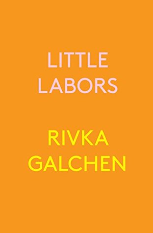 cover of Little Labors