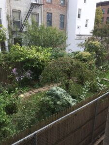 Garden view from above