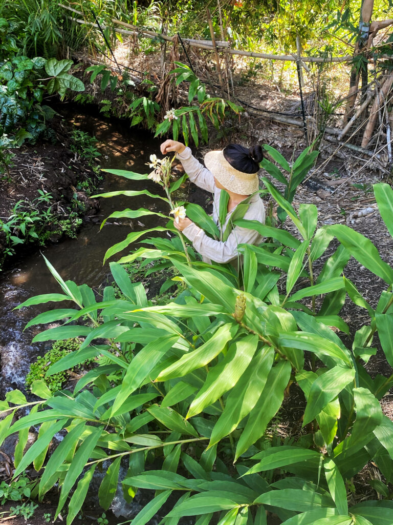 Woman examines leaf