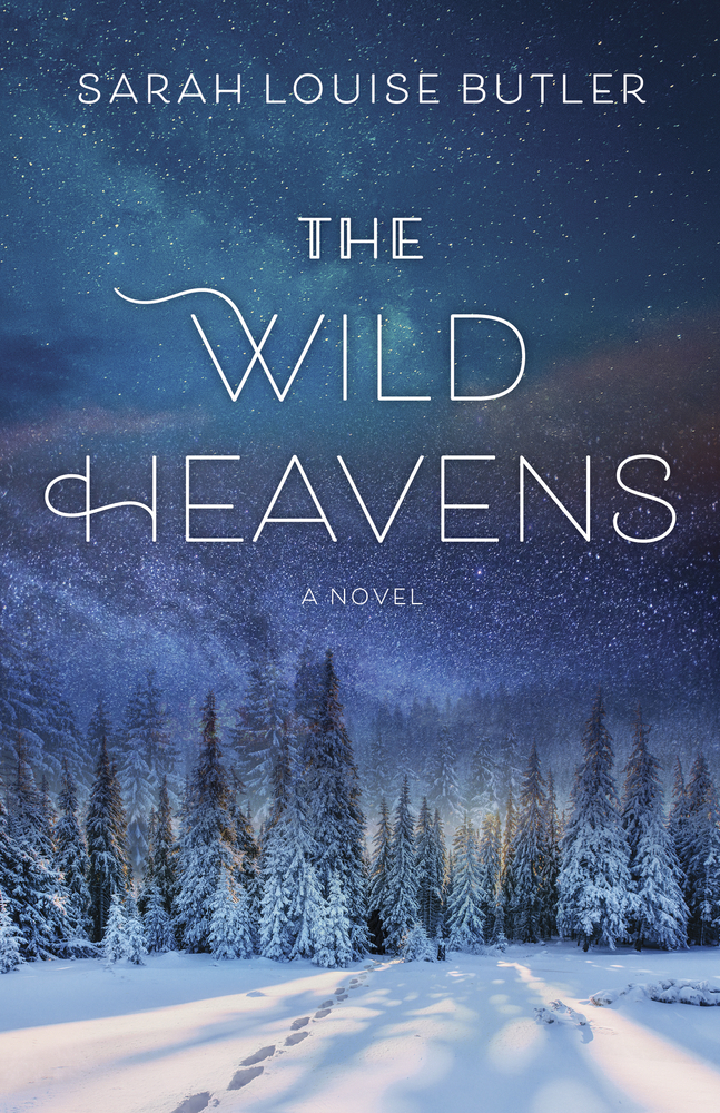Cover for The Wild Heavens