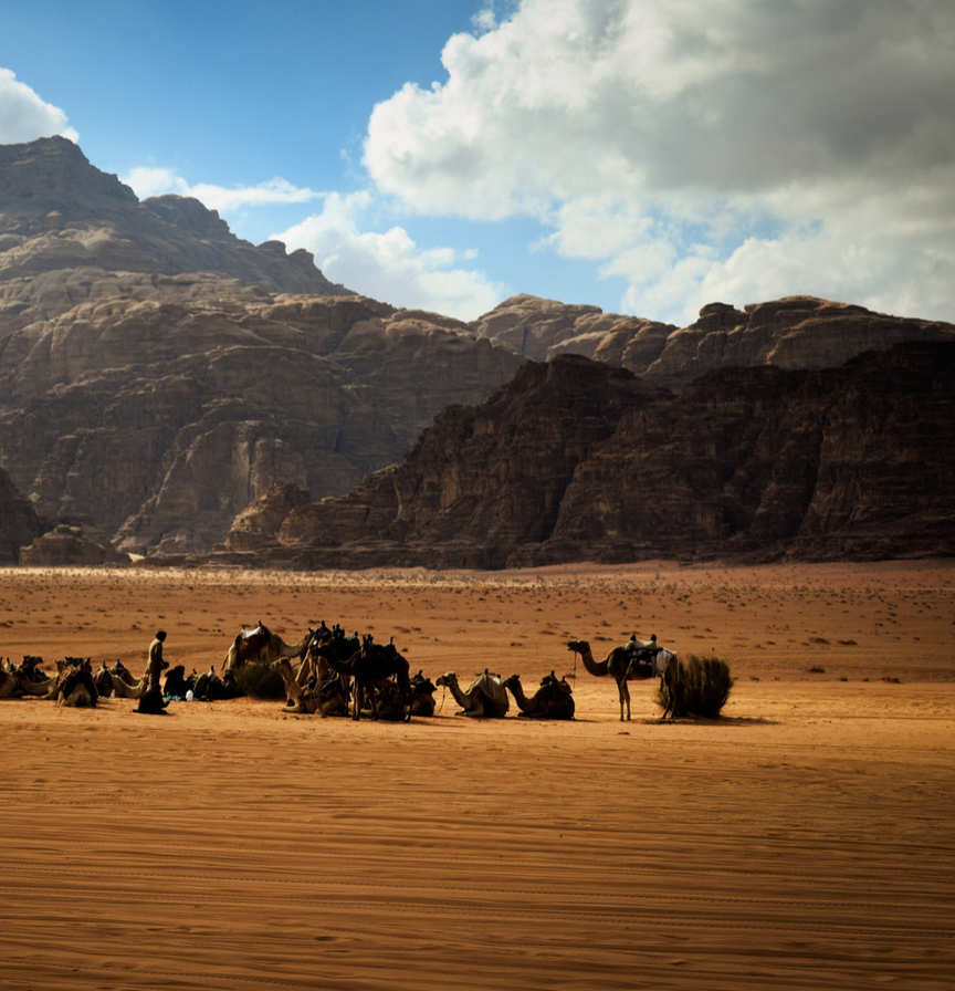 The Ache of the Sands