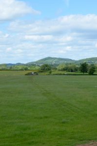 Image of an old railway track running through a field.