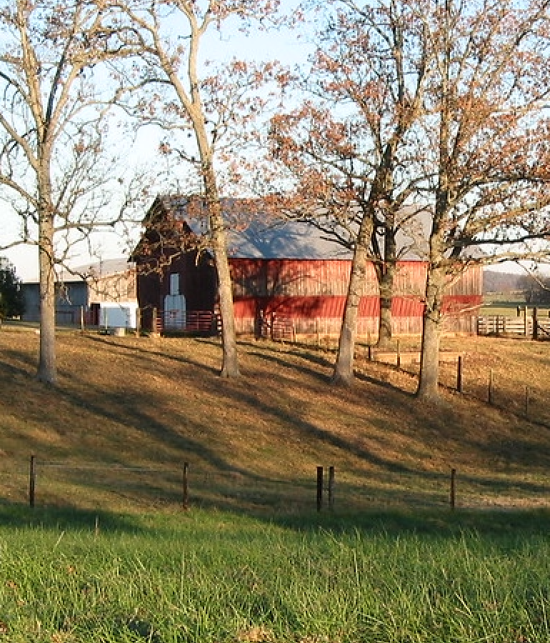 Kentucky farmland