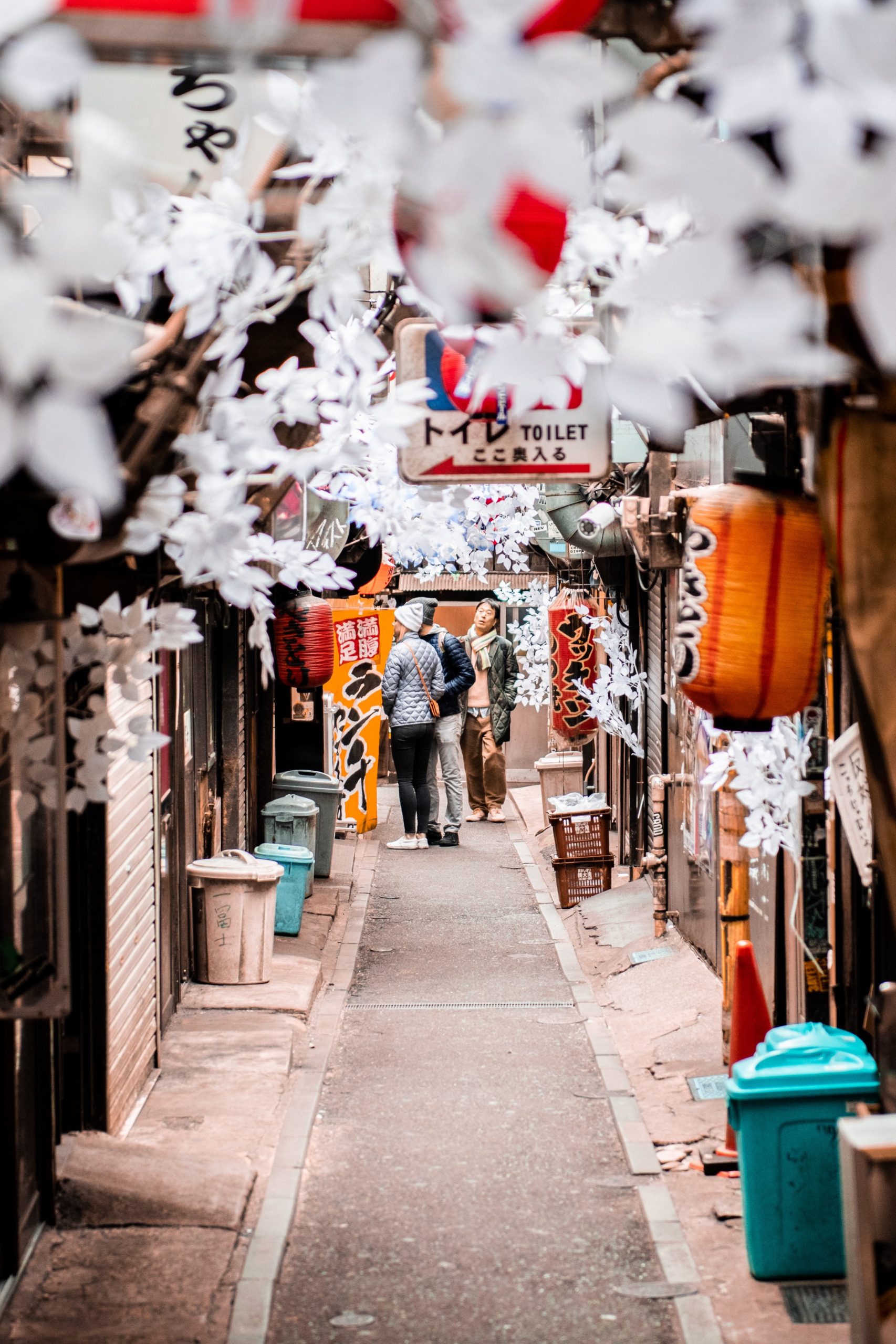 Shinjuku Golden Gai and the Midnight Diner