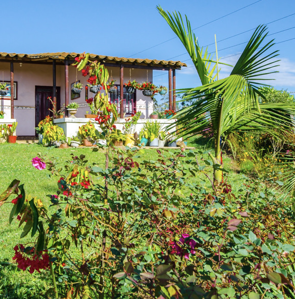 House in Colombia