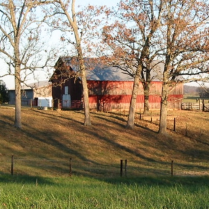 Image of barn in the autumn.